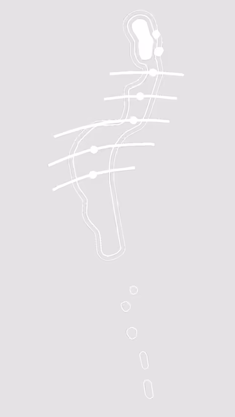 Whitecraigs at Whitecraigs Golf Club Golf Club in Scotland, Scotland – a world-class golf course set in the heart of Europe golfing excellence.