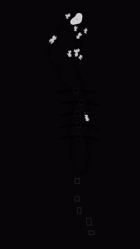 Bayonet Black Horse Golf Club - Black Horse Golf Course - Lineart Shot from the fairways of Black Horse Golf Course at Bayonet Black Horse Golf Club, this view showcases the pristine design and natural beauty of golf in Usa, North America.